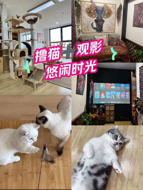 丰满女人毛片的相关介绍