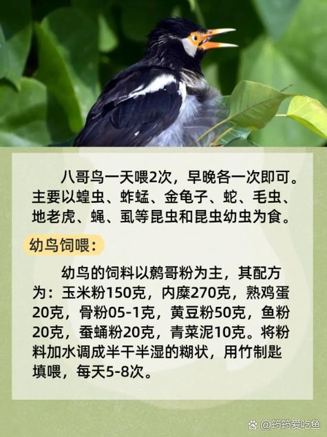 飞驰人生2策驰影院的相关介绍