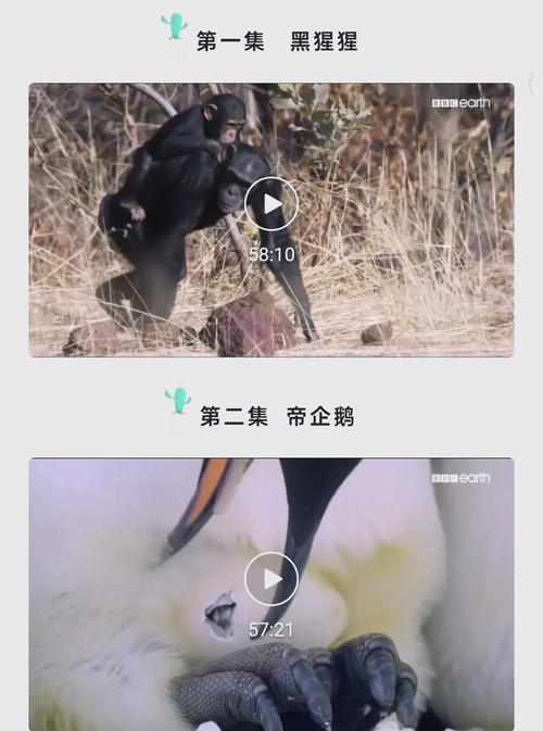 神马未来影院的相关介绍