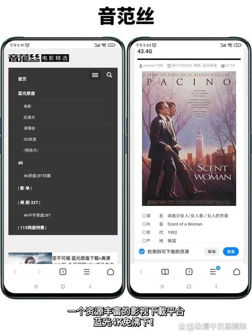 国产精品精品国产色婷婷的相关介绍