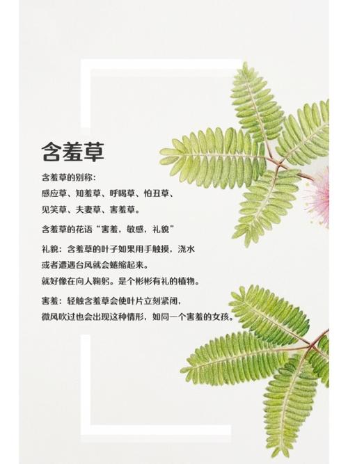欧美成人怡红院一区二区的相关介绍