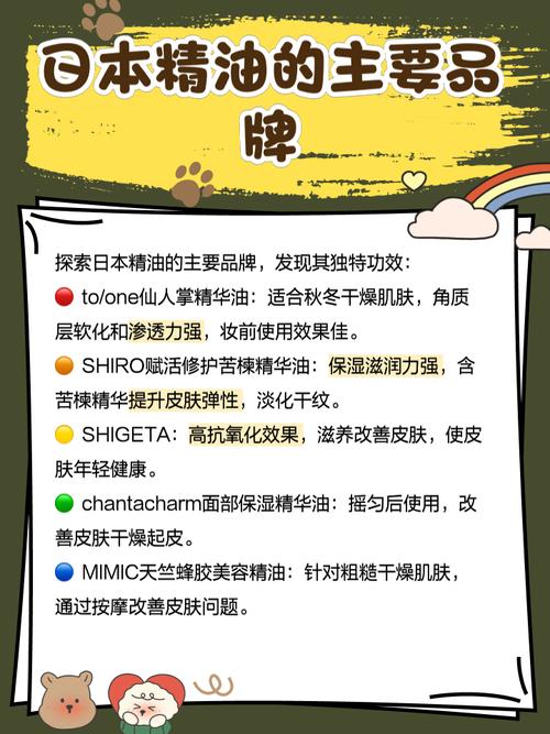枫花园汽车影院的相关介绍