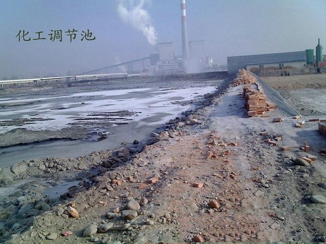 国产精品婷婷色的相关介绍