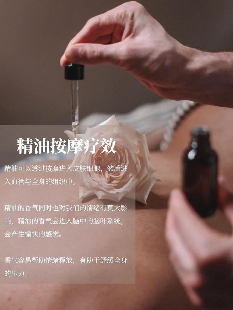 少妇丝袜av的相关介绍