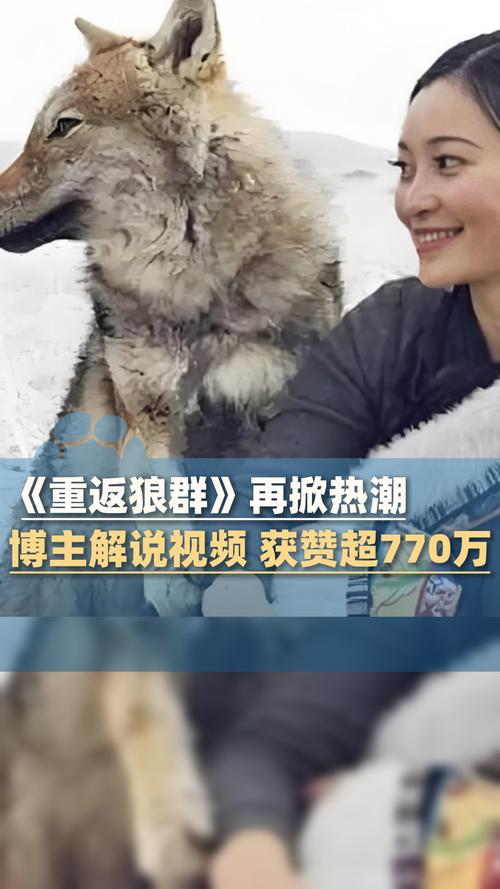 宁波江北万达影院的相关介绍