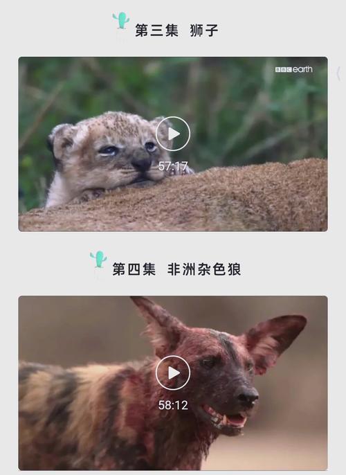 桃花影院在线观看的相关介绍