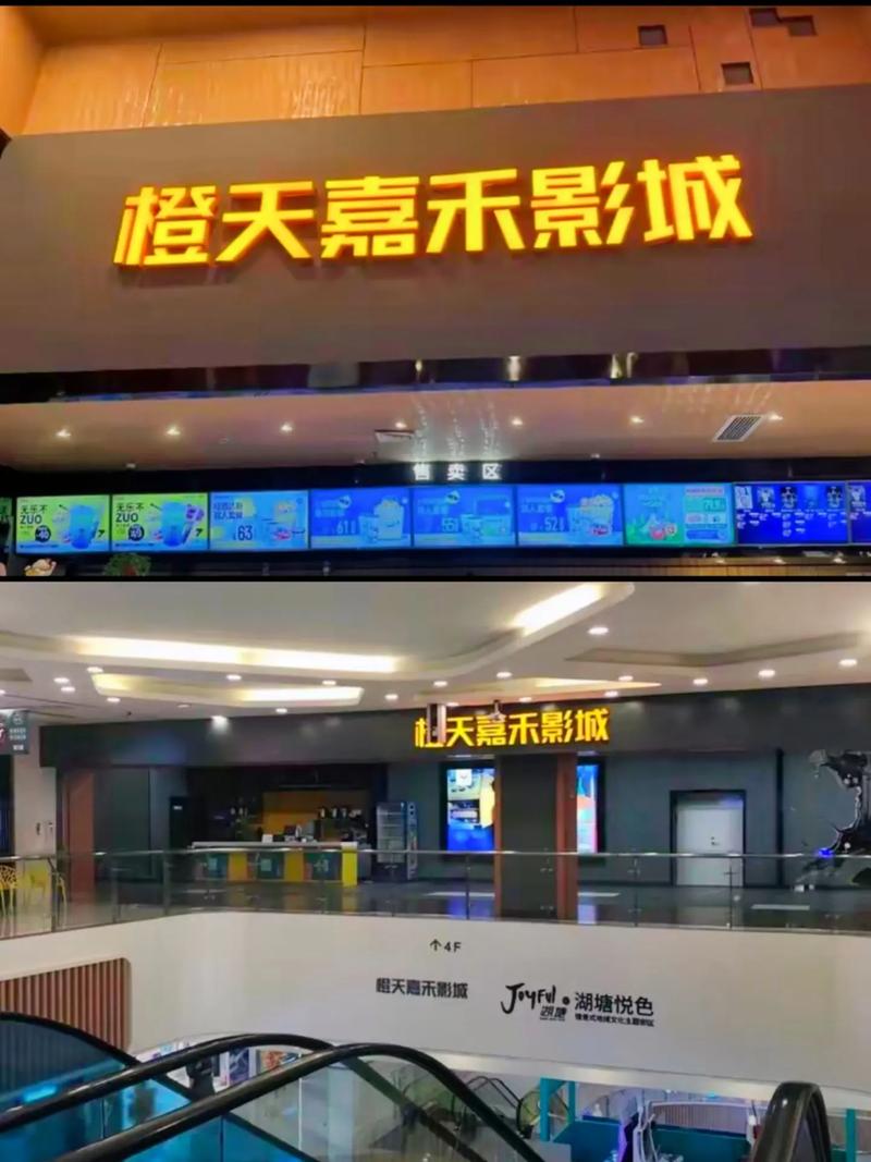 久久久久久极精品久久久的相关介绍