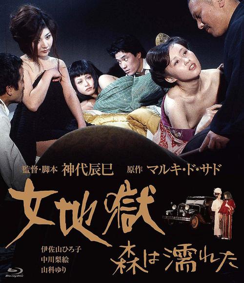 飞蚂蚁影院的相关介绍