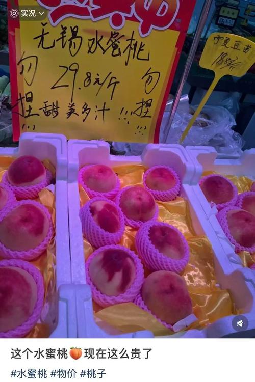 免费小视频app下载的相关介绍