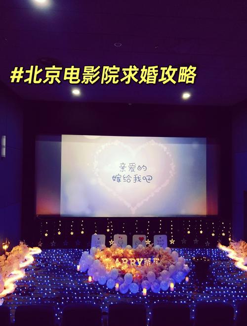 美国成人影院的相关介绍
