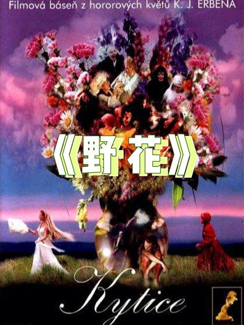 不打马赛克的毛片的相关介绍