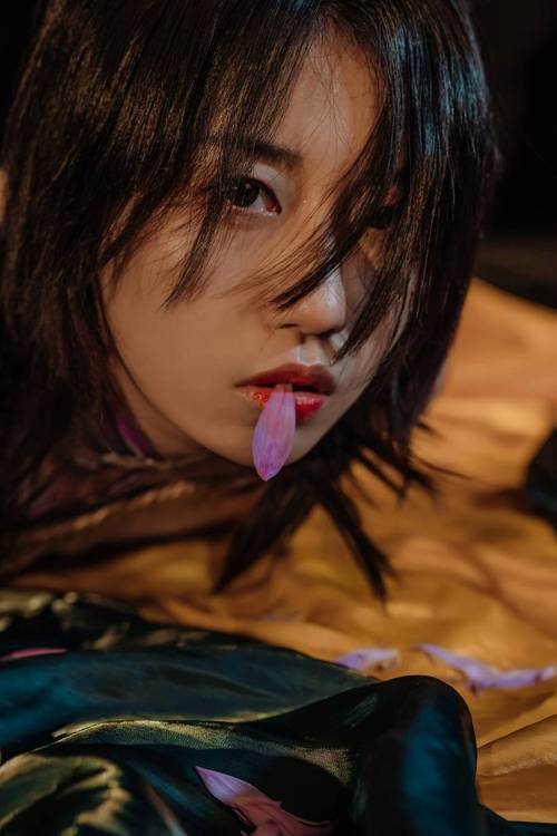 成年女人黄色录像的相关介绍