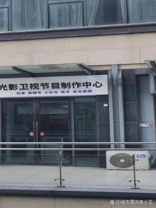 华人影院的相关介绍