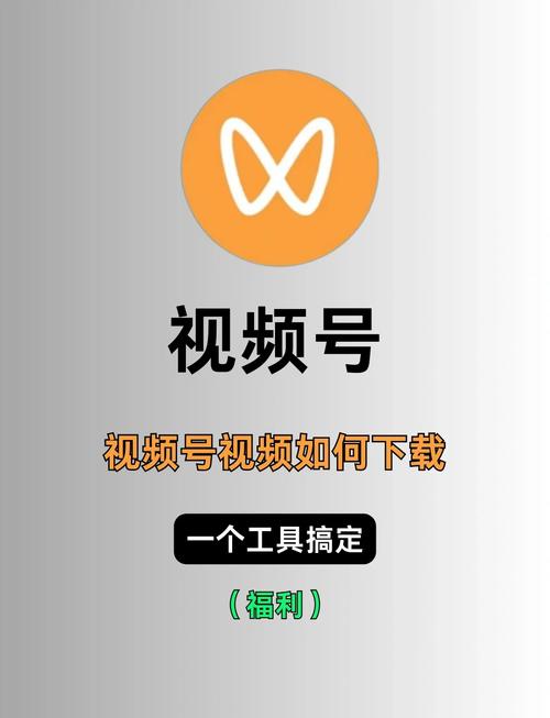 琪琪色影院的相关介绍