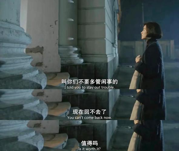 国产精品嫩草影院的相关介绍