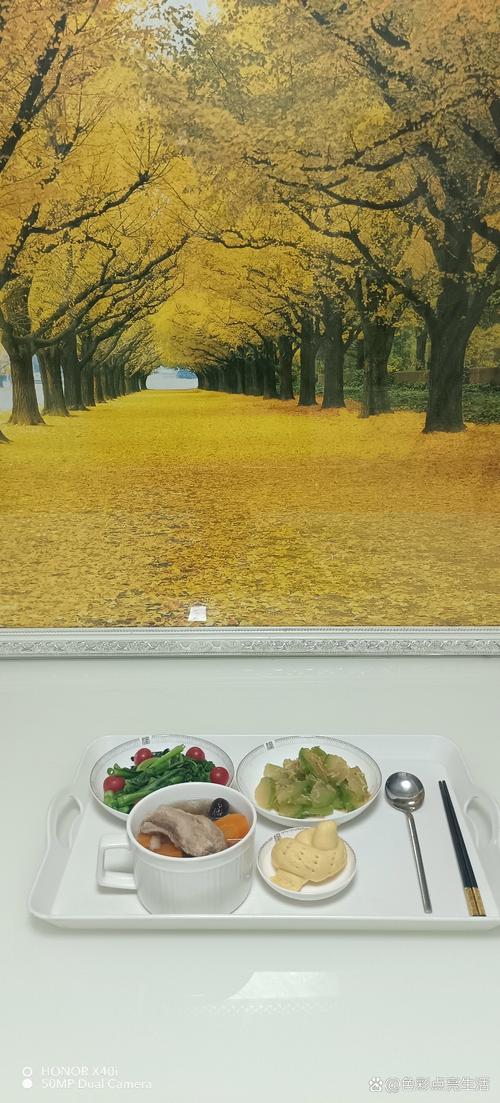 135影院的相关介绍