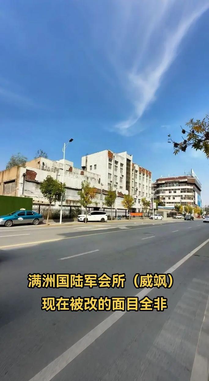 精品99久久久精品的相关介绍