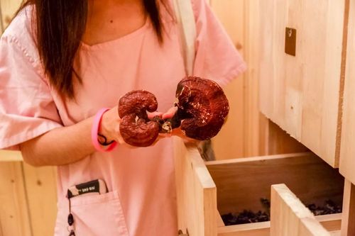 精品少妇av的相关介绍