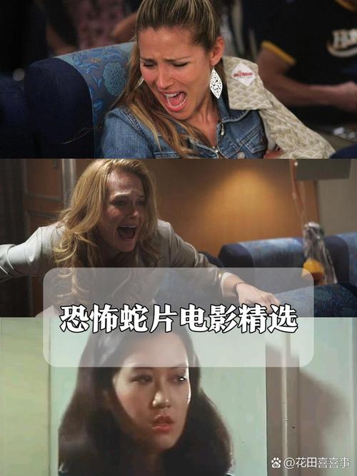 强奷妇女电影院库的相关介绍