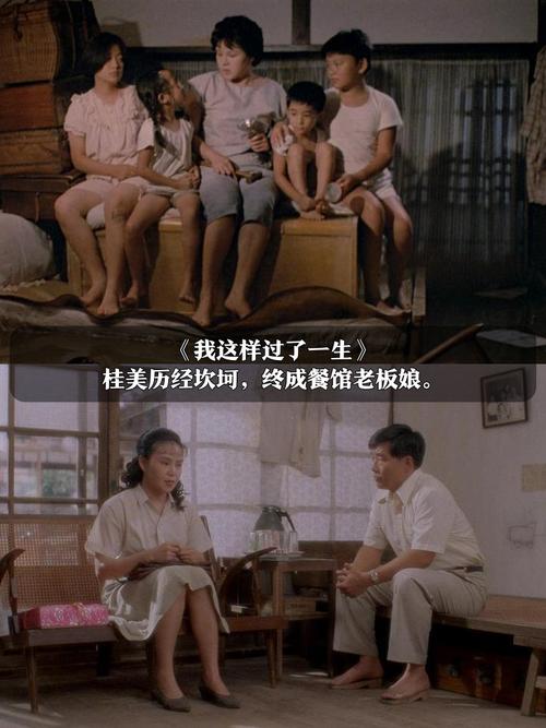 猫狗影院的相关介绍