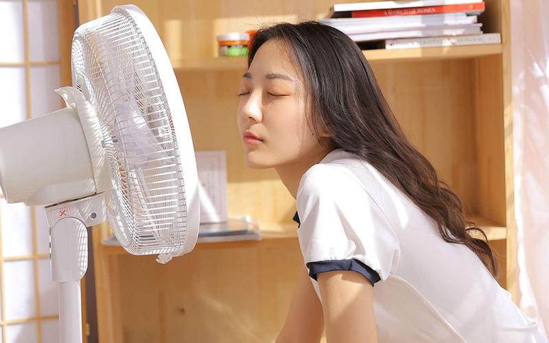 神马视频未来未来影院的相关介绍