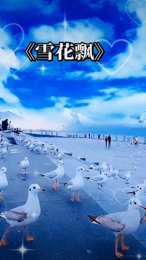 骚护士影院的相关介绍