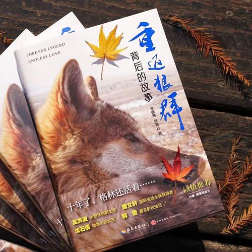 中国老熟妇xxxx的相关介绍