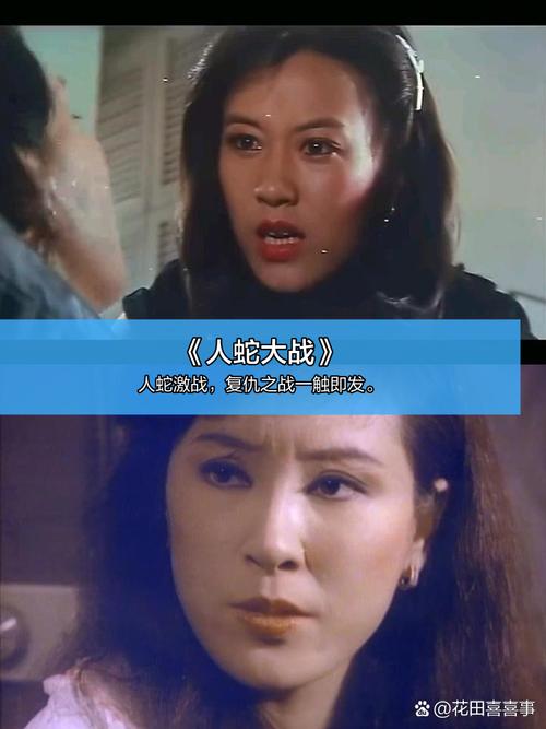 放个毛片看一下的相关介绍
