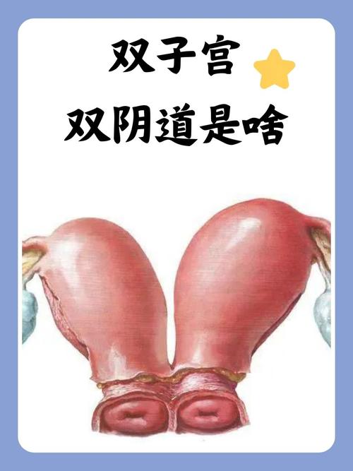 316影院的相关介绍