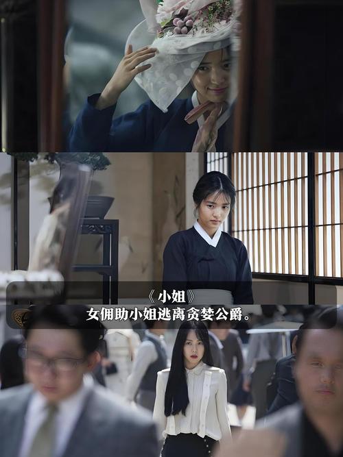 9.1免费视频app的相关介绍