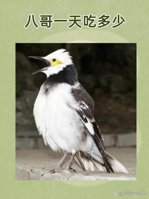 av图片久久的相关介绍