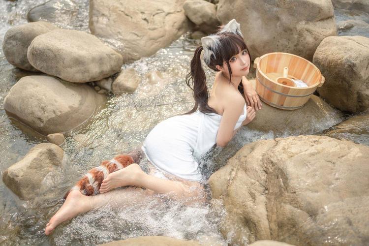 免费看女做a的相关介绍