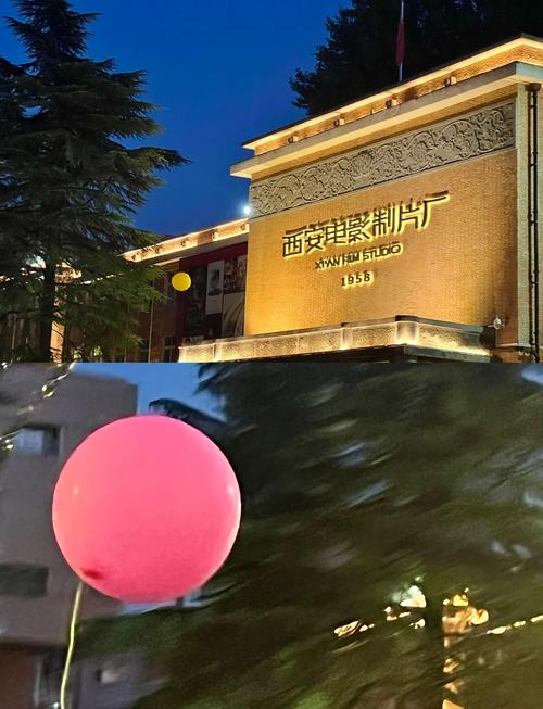 娃玖影院手机在线观看第九影院的相关介绍