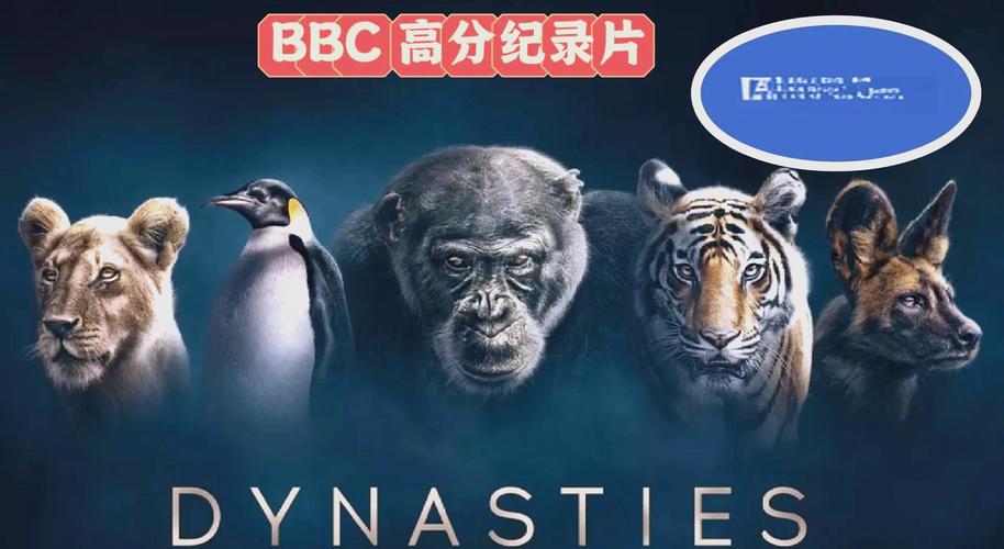 欧美人妻在线观看的相关介绍