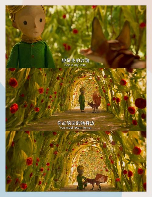 新视觉影院线看第九影院的相关介绍