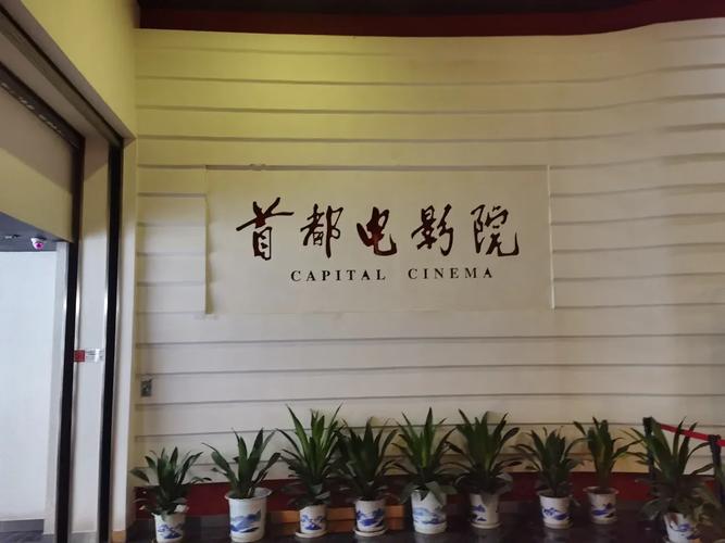 中出少妇av的相关介绍