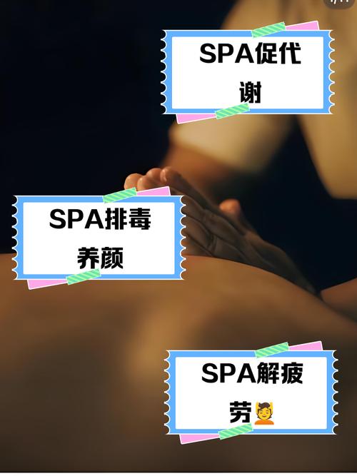 意大利伦理片大全的相关介绍