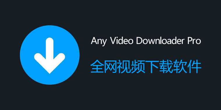 久久久久久黄片的相关介绍