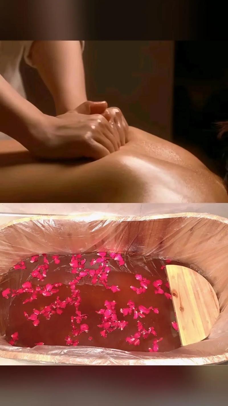 午间影院的相关介绍