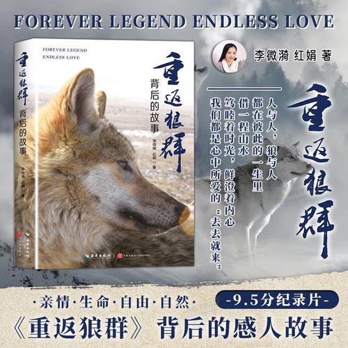 影院在线夜的相关介绍