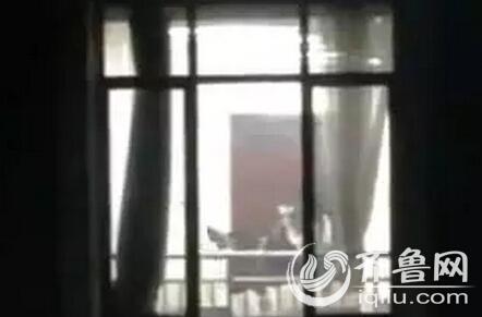 神马电影院不卡的相关介绍