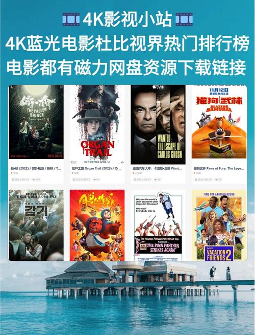 熟女少妇1区的相关介绍