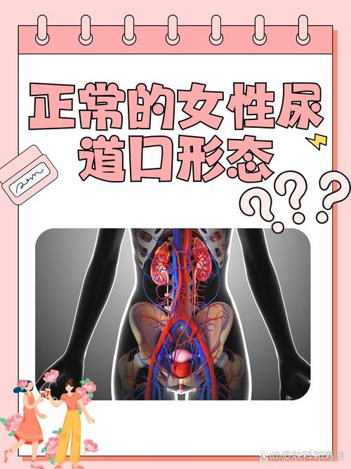 美女很黄很色国产av的相关介绍